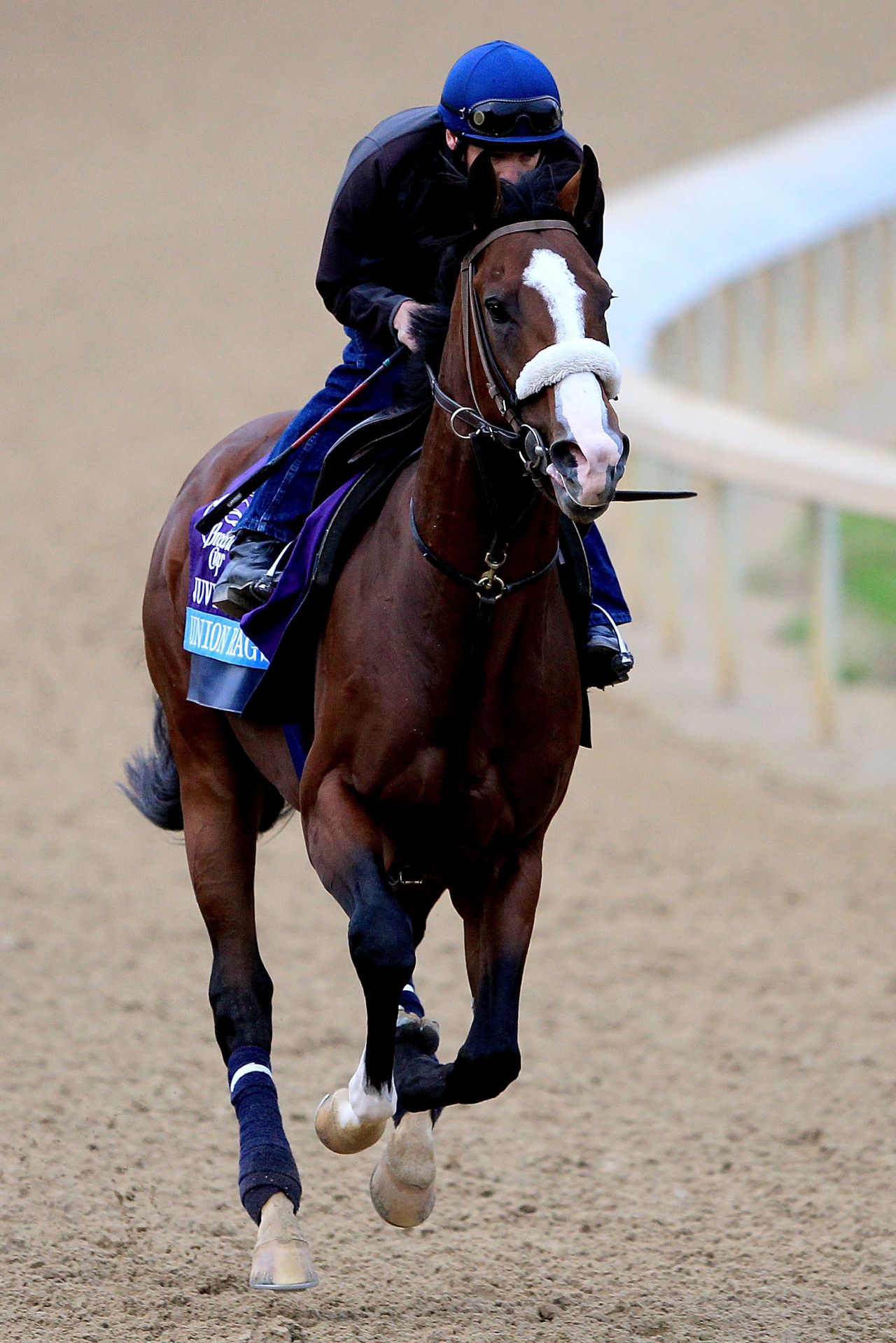 Union Rags has already had some success at Churchill Downs, finishing second in the Breeders' Cup Juvenile there in 2011. The colt was also third at the Florida Derby in March. "He's big, he's strong, he's fast -- so far I haven't found any faults in him. I think he's got a good chance," trainer Michael Matz said.