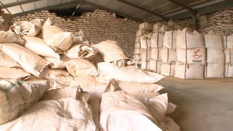 Growing demand from outside South Africa has created an industry worth around $23 billion.