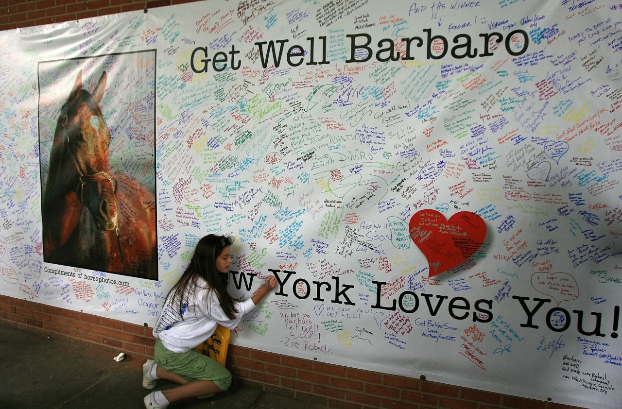 Hundreds of fans signed a giant "Get Well" card for Barbaro. Although efforts were made to save the colt's leg with pioneering surgery, he eventually had to be put down. 