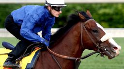 Union Rags, ridden by jockey Julien Laparoux, is among the hot favorites to win the 138th Kentucky Derby at Churchill Downs. 