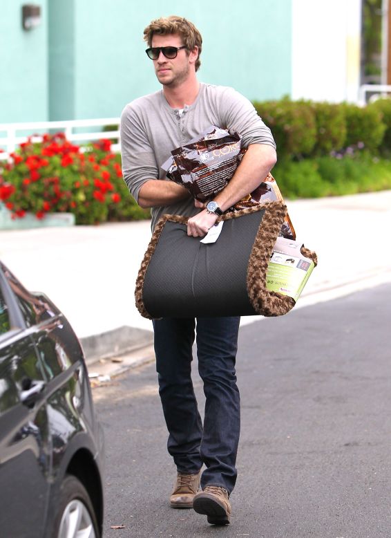 Liam Hemsworth goes shopping for pet supplies in Studio City.