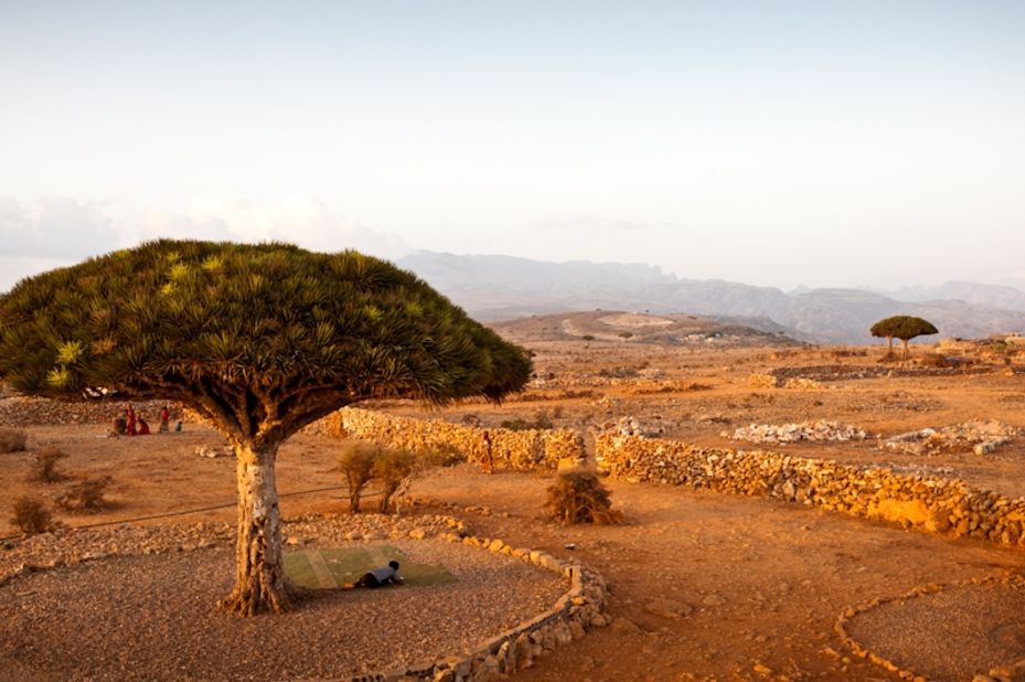 German photographer Claudius Schulze traveled to the mysterious archipelago of Socotra. Pictured, distinctive Dragon Blood Trees, native only to Socotra.