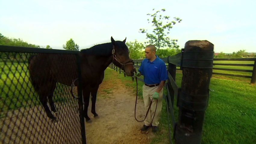 winning post kentucky breeders_00020723