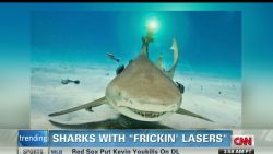 exp early sharks lasers_00002001