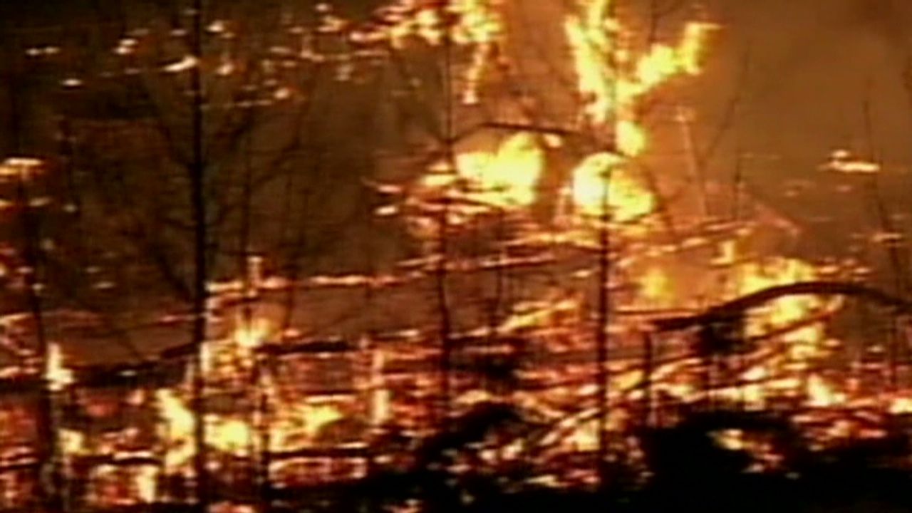 tsr todd al qaeda firebombing_00022030