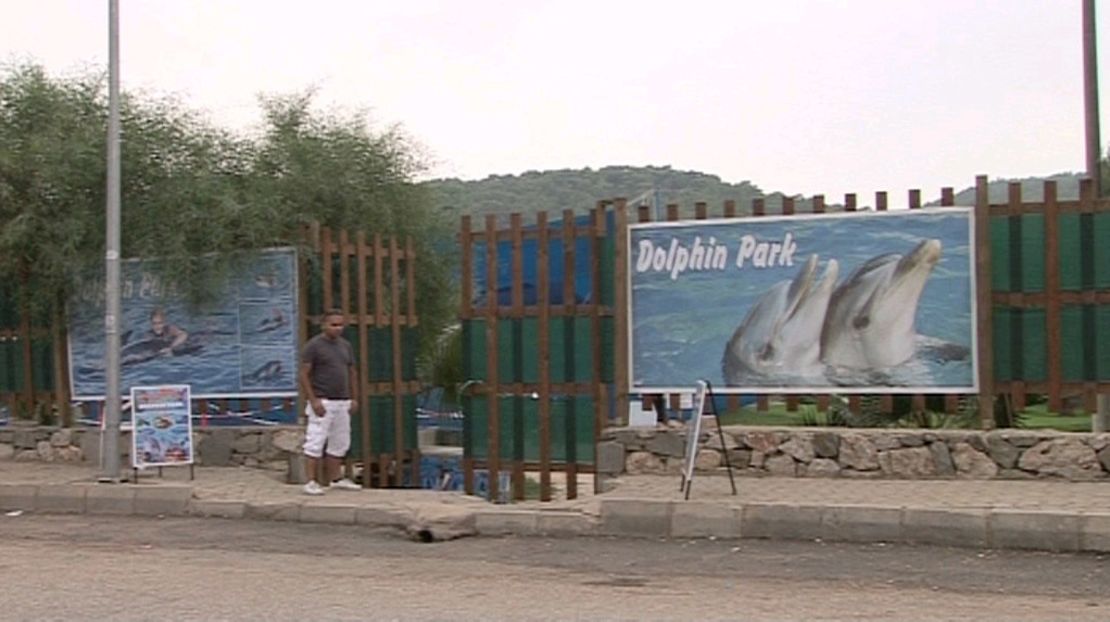 Dolphin parks like the one that held Tom and Misha are common in Turkey's tourist areas but aren't fully regulated.