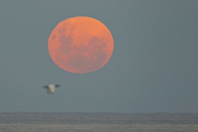 Even if the weather's cloudy on the ground, there will be an unobstructed view once planes climb above the clouds, says Spring Airlines. This supermoon was captured rising over the Pacific in Sydney.