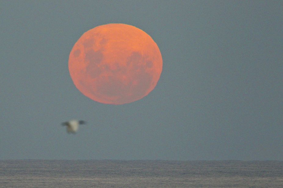  The moon rises over the Pacific Ocean on Sunday May 6, 2012, in Sydney, Australia. 