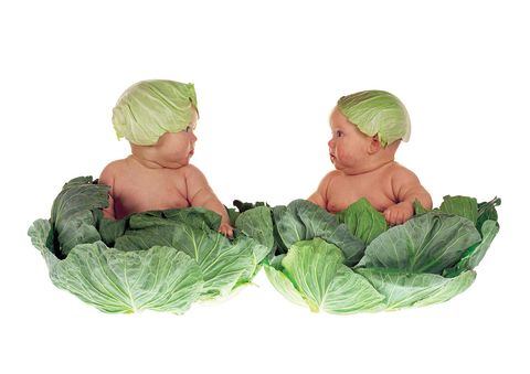 "Cabbage kids" 