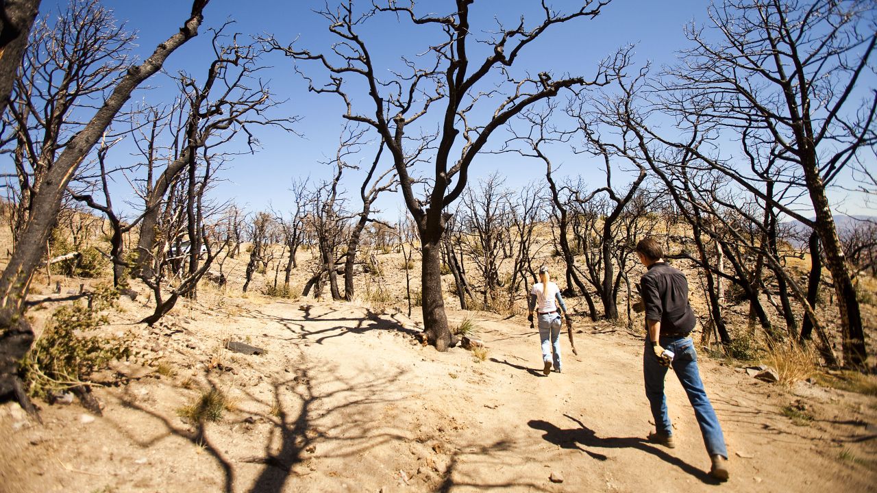 Tombstone city workers Kevin Rudd and Sherry Kammeyer walk through the charred forest in Carr Canyon.