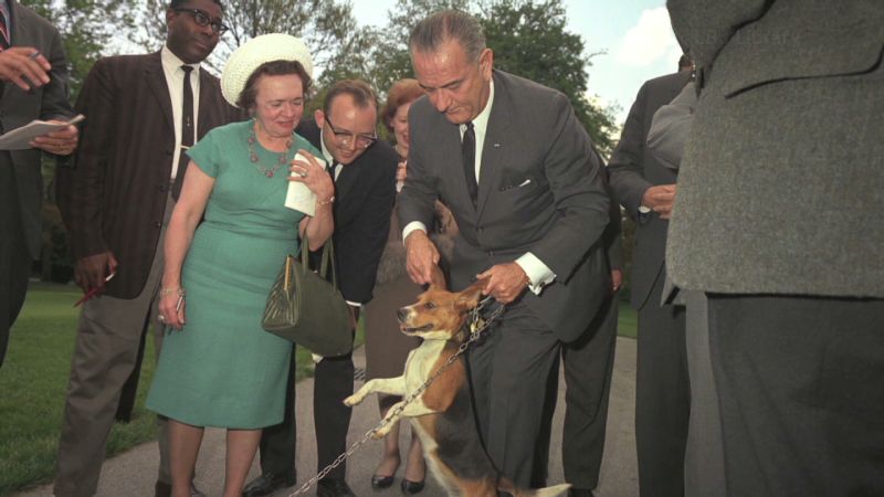 Lyndon hot sale johnson dog