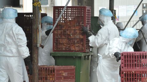 A  scientist engineered the avian flu virus to make it more deadly to mammals.