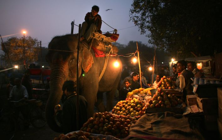 A man feeds an elephant in one of New Delhi's numerous street markets. In New Delhi it's not uncommon for shops to stay open late into the night.