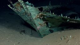 Images of a shipwreck found in the Gulf of Mexico showed that its wooden construction has been destroyed by underwater organisms, but copper sheeting that protected the ship's hull also helped it retain its shape. 