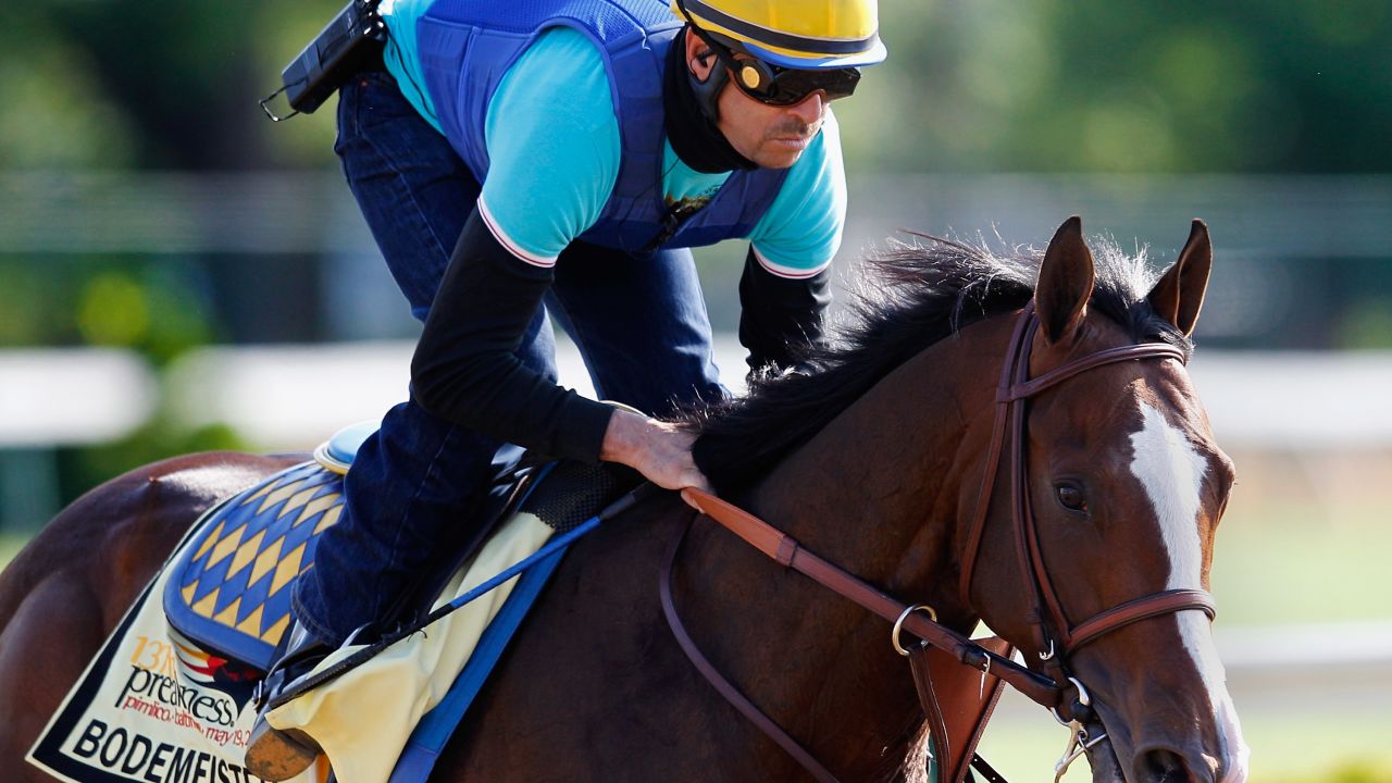 Bodemeister prior to the 137th Preakness Stakes in 2012.