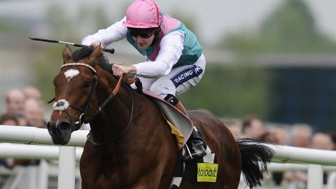 Newbury has proved a happy hunting ground for Frankel and jockey Tom Queally.