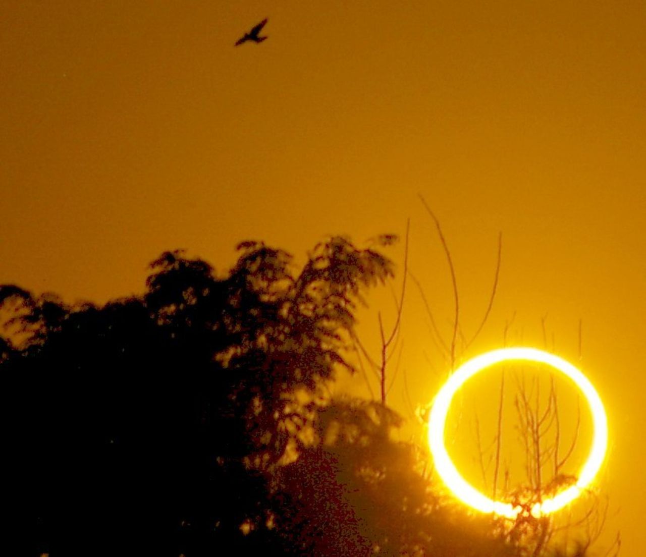 Joel Dykstra unexpectedly captured the ring of fire from his backyard in Roswell, New Mexico. 