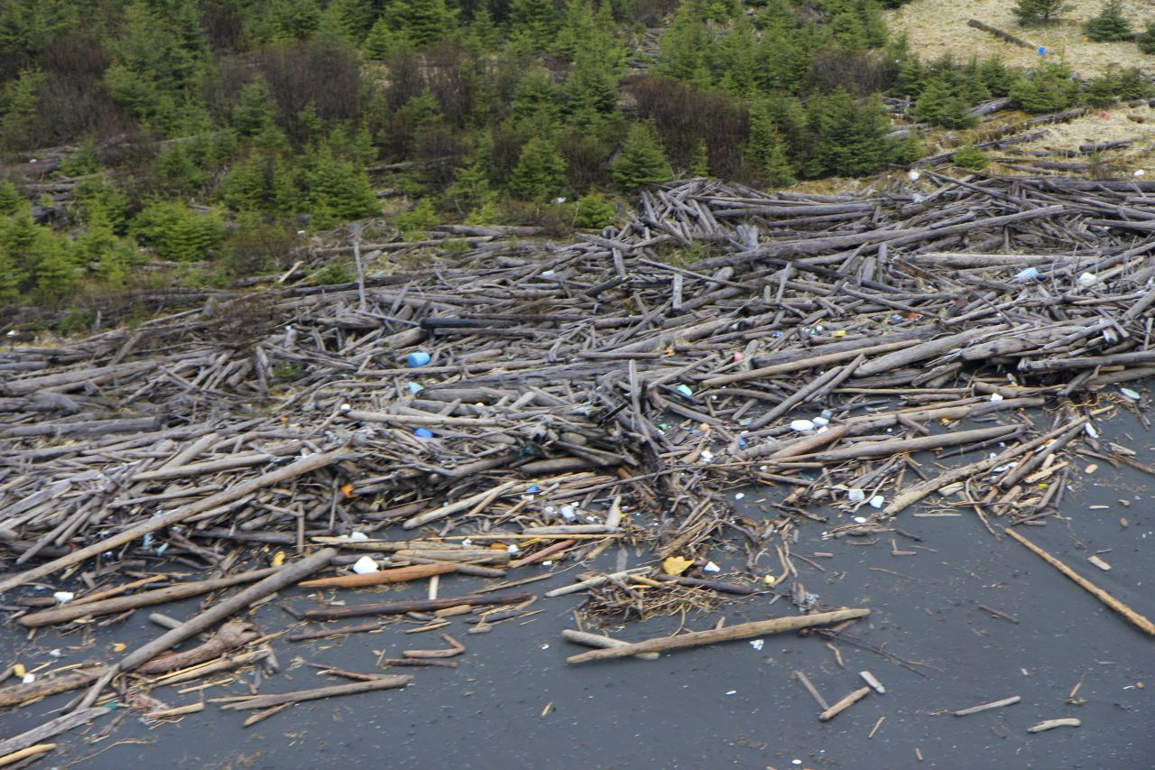 Japanese officials estimate up to 70% of the tsunami wreckage has sunk, but the rest, ranging in size from children's toys to a squid trawler sunk by the U.S. Coast Guard off Alaska in April, has been turning up off the coasts of the United States and Canada for more than a month. There are concerns that this trash could be tainted by radiation from the Fukushima nuclear disaster that followed the March 2011 quake. Tests on the first wave of tsunami debris have shown no abnormal levels of radiation. Still, much of it is toxic and potentially hazardous to the environment along the rugged Alaska coastline.