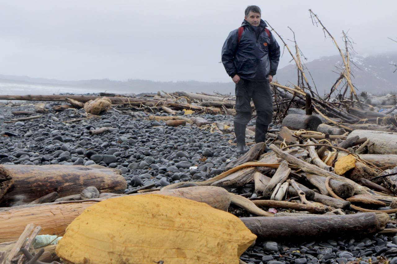 Chris Pallister braves the elements on Montague Island to survey debris for the Marine Conservation Alliance. He said the yellow urethane spray building foam insulation, which came from stockyards and from crushed structures in Japan, started showing up in January. "We just never got much of that before, but if you walk up and down this beach you see big chunks," he said.