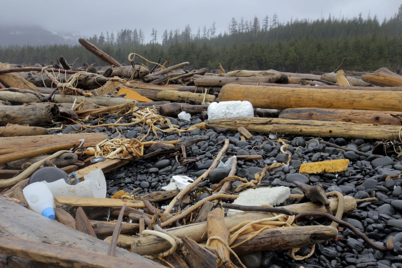 It's been more than a year since a massive quake devastated northeast Japan, and the debris believed to be from that disaster is now washing up more than 4,000 miles away in Alaska. The Styrofoam that's washing up breaks into little pieces and the wildlife, thinking it is food, will eat it -- causing a negative chain reaction. "The little fish are going to eat some of this stuff and not get the nutrition they need," explained Bill Lucey of the Yakutat Salmon Board. "So they're not going to grow that fast, so they're either going to die or get eaten by predators more readily or they just won't be able to compete in the natural world as well."