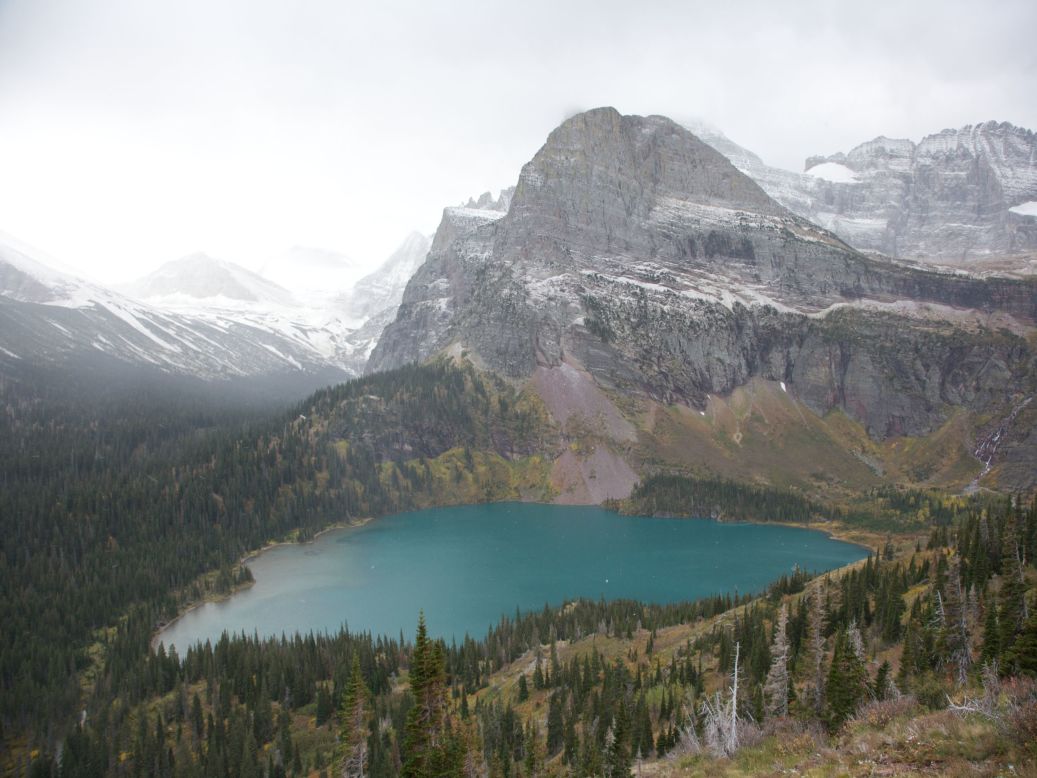 Visitors to Glacier National Park have the chance to see everything from elusive wolves, grizzlies and mountain lions to the more common mountain goats, bighorn sheep, elk and moose. 