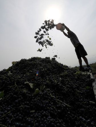 Russia imposed an embargo on wine from Georgia in 2006, resulting in an immediate 50% loss in exports. Many of the country's vineyards have found new markets but sales are still below pre-2006 levels. 