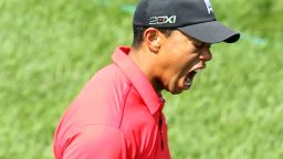 Tiger Woods celebrates after chipping in for birdie on the 16th hole during the final round of the Memorial Tournament.