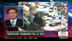 vivanco oea informe_00030520