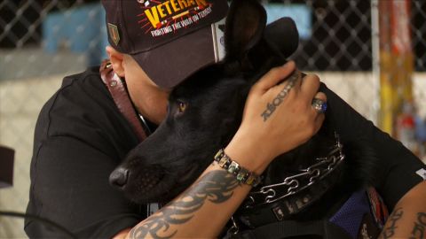 Many U.S. veterans are struggling with invisible wounds such as post-traumatic stress disorder, anxiety and depression. But some of them are finding peace at home thanks to their canine companions. Click through the gallery to meet a few veterans and the service dogs who help them get through their daily lives.