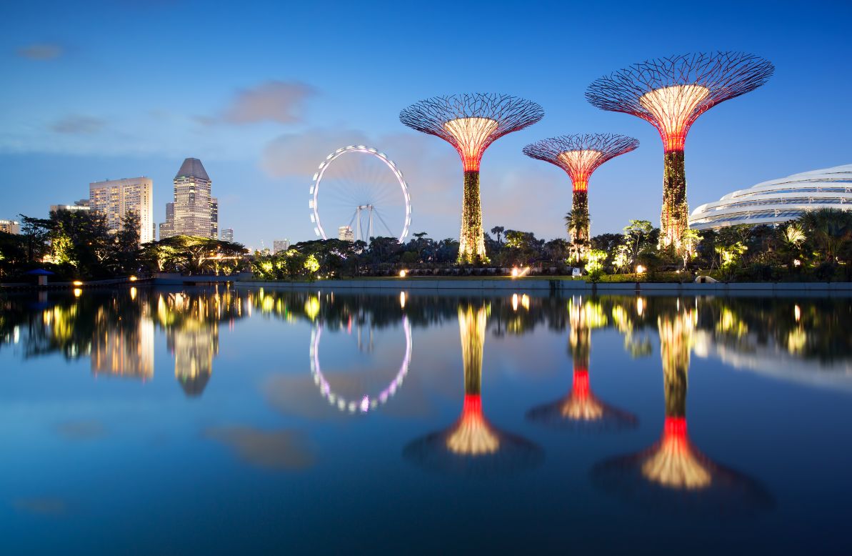 At Singapore's "Gardens in the Bay" development, man-made "supertrees" collect solar energy during the day, which is used to light the magnificent structures after night fall. 