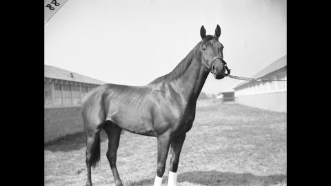 Citation won the Triple Crown in 1948.