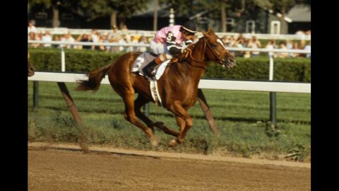 Jockey Steve Cauthen rides Affirmed to a Belmont victory in 1978.