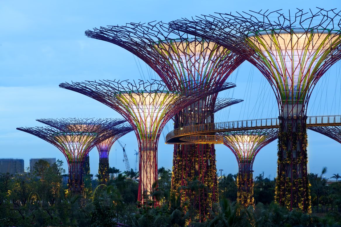 Eighteen supertrees varying from 25 to 50 meters in height combine to form a steel forest. They act as cooling ducts for nearby conservatories, collect rainwater and 11 of them have solar photovoltaic systems to convert sunlight into energy.