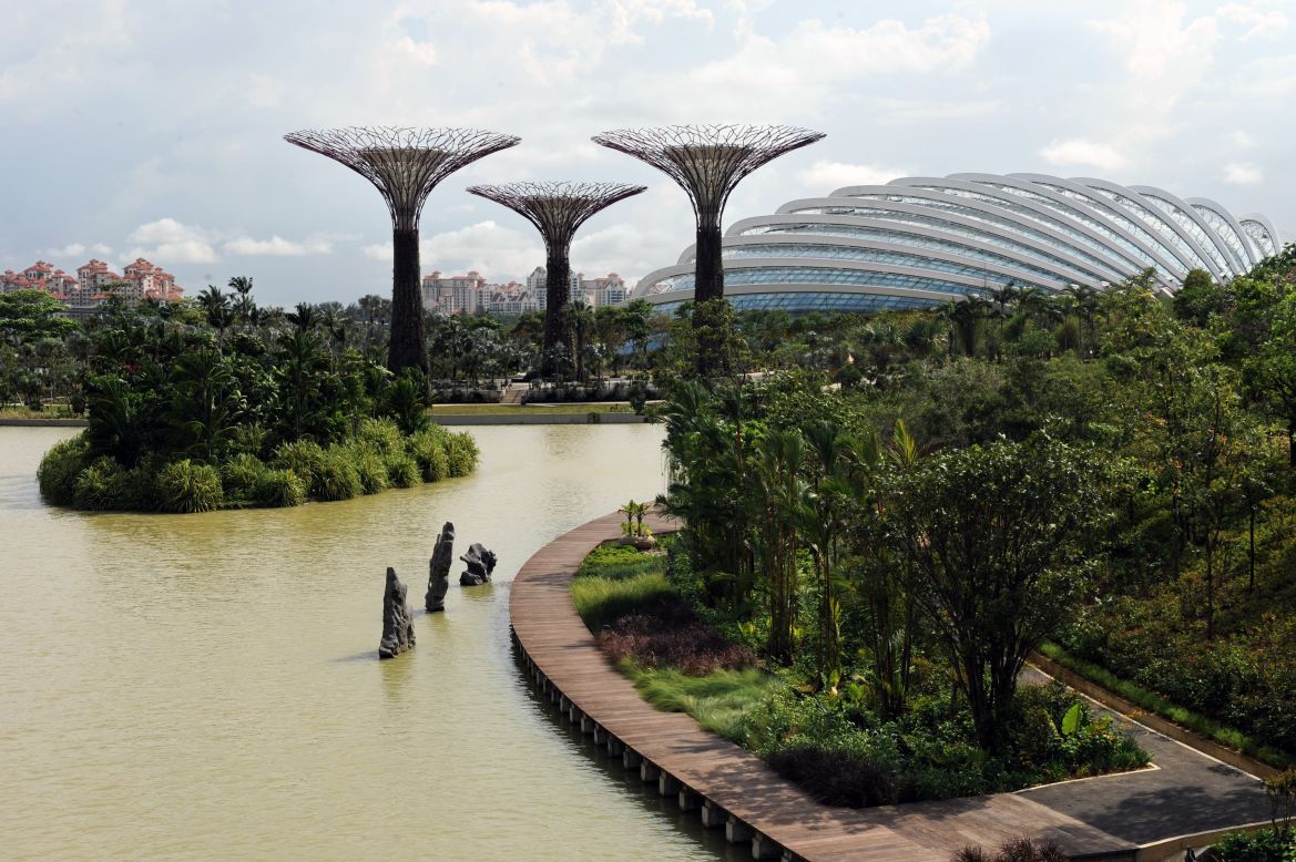 En contraste con el denso ambiente urbano de los rascacielos y altas construcciones en Singapur, el proyecto "Jardines de la bahía" es parte de la estrategia global del gobierno para transformar Singapur en una "ciudad dentro de un jardín".