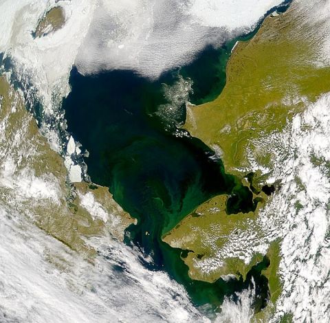 A satellite image of the Chukchi Sea, between Alaska and Russia, shows phytoplankton bloom (in green).