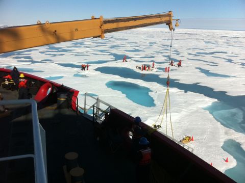 Scientists on NASA's ICESCAPE expedition discovered vast amounts of phytoplankton blooming under sea ice, thanks to the magnifying properties of melt pools.