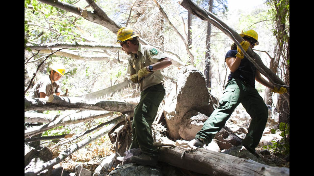 U.S. Forest Service rangers clear a tree with a handsaw.