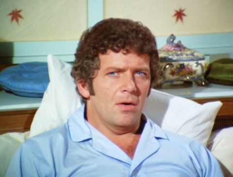 There aren't many men who could handle six children, a wife, a dog and a career as an architect, all while wearing tight plaid pants. Mike Brady (Robert Reed) took everything in stride on the 1960s-'70s series "The Brady Bunch." From camping in the Grand Canyon to grappling with a curse in Hawaii, Mike endured the occasional headache while remaining hopelessly devoted to Carol.
