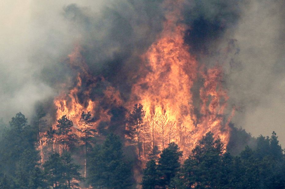 Colorado's High Park Fire engulfs trees in flames near Fort Collins on Monday, June 11. 