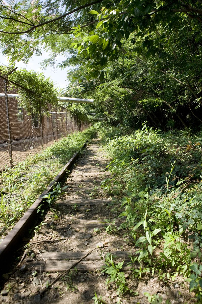 Abandoned Railway Turns Urban Sprawl Green | CNN