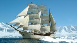"Tall ship" is the common term used for large sailing vessels with multiple tall masts, vast sails and long narrow hulls. 