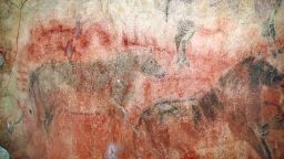 In Spain's Tito Bustillo Cave, scientists found these horse paintings overlaying older red paintings, which could be 29,000 years or older.