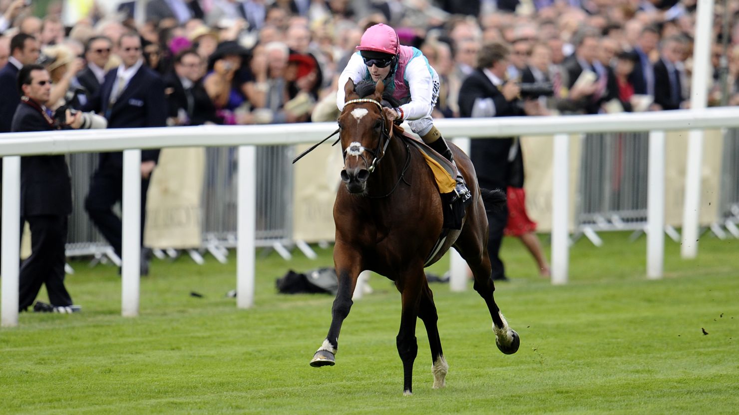 Frankel, ridden by Tom Queally, cruises to an 11-length win in The Queen Anne Stakes at Royal Ascot