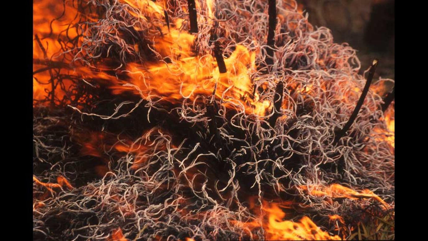 La fotógrafa ganó el primer lugar con esta imagen en la categoría de "Incendios Forestales" donde se muestra un fuego e intenso calor durante el incendio Kinishba en Arizona.