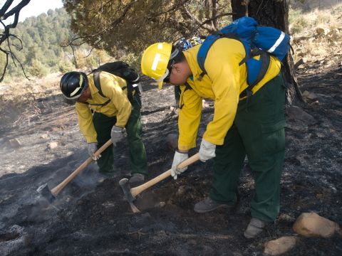 A crew mops up a day after a Little Bear Fire burn operation on June 15 at Lincoln National Forest.