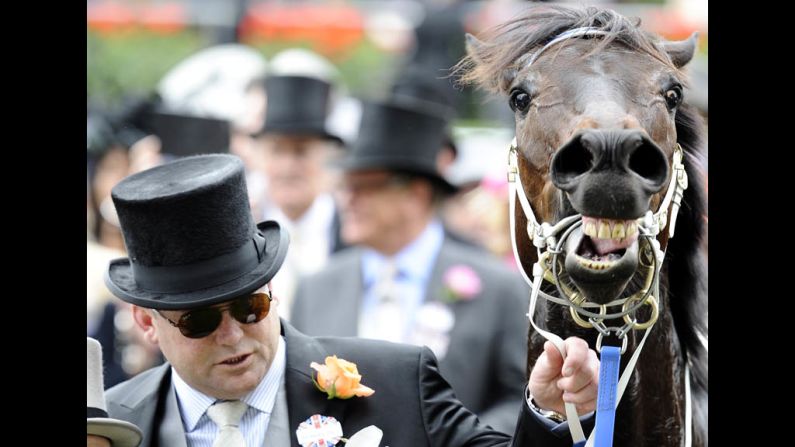 Racehorse Black Caviar neighs after carrying his rider across the finish line for the win on Saturday.