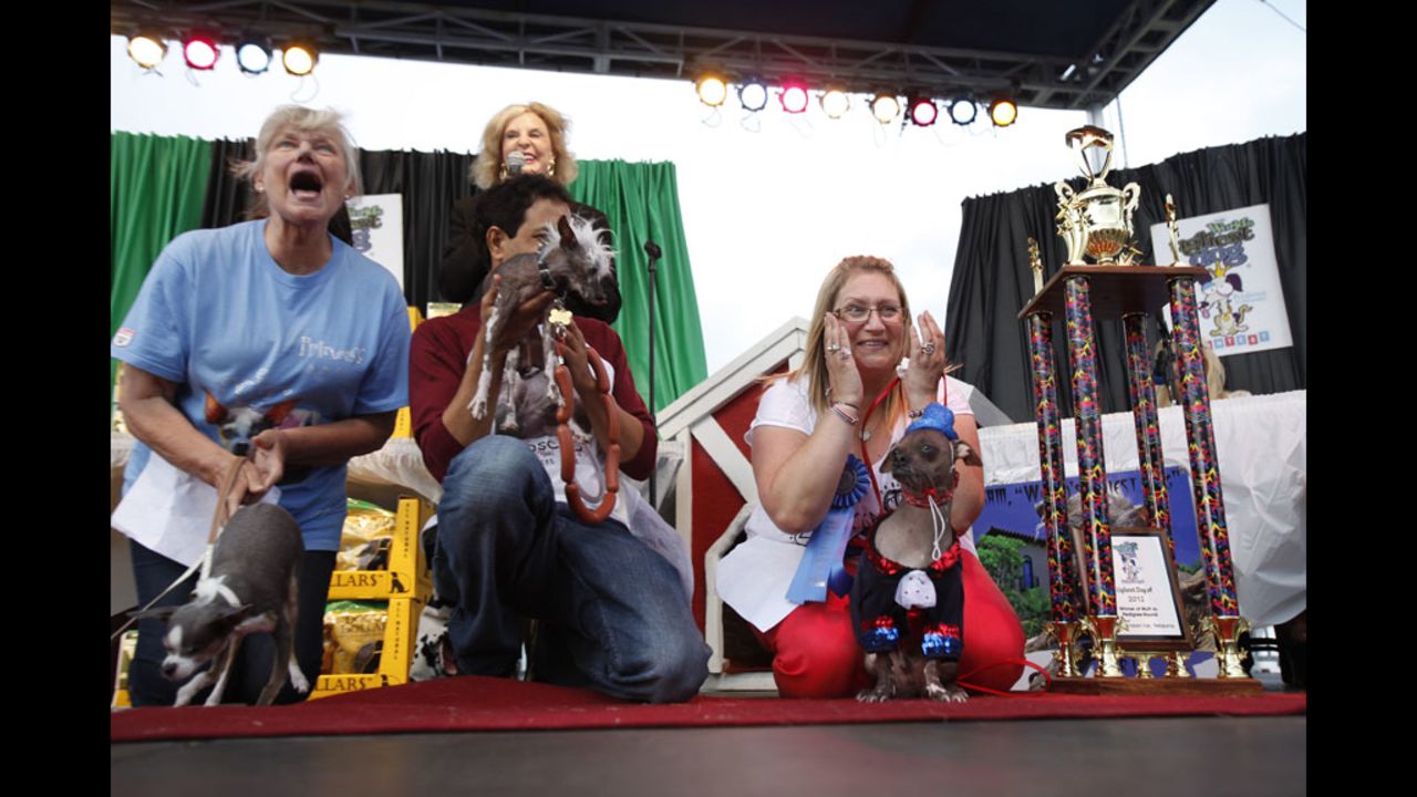 Bev Nicholson, right, of Peterborough, England, reacts after Mugly, her 8-year-old Chinese crested, won the World's Ugliest Dog title.
