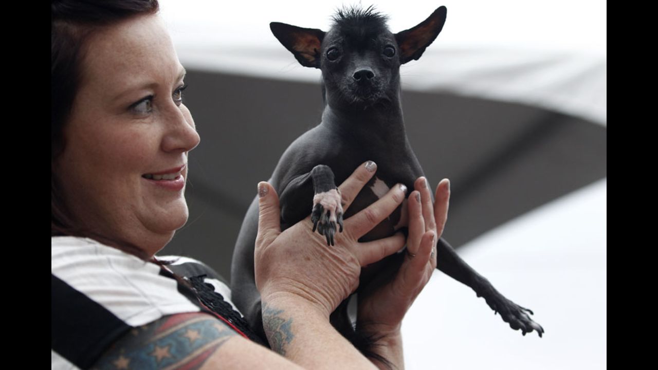 Annie Ragsdale of Lodi, California, carries Rue, a 2-year-old Chinese crested.