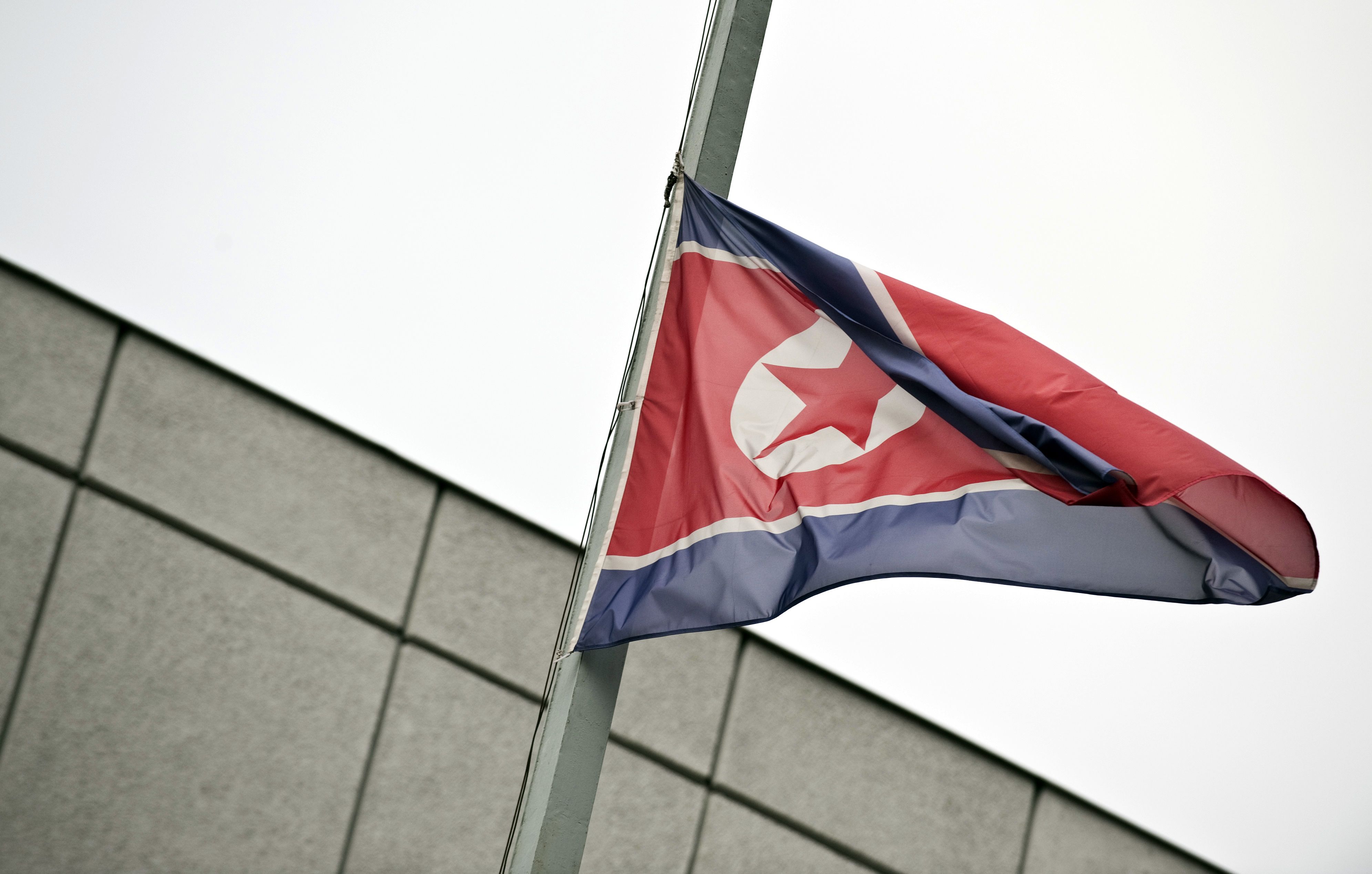 north and south korean flag