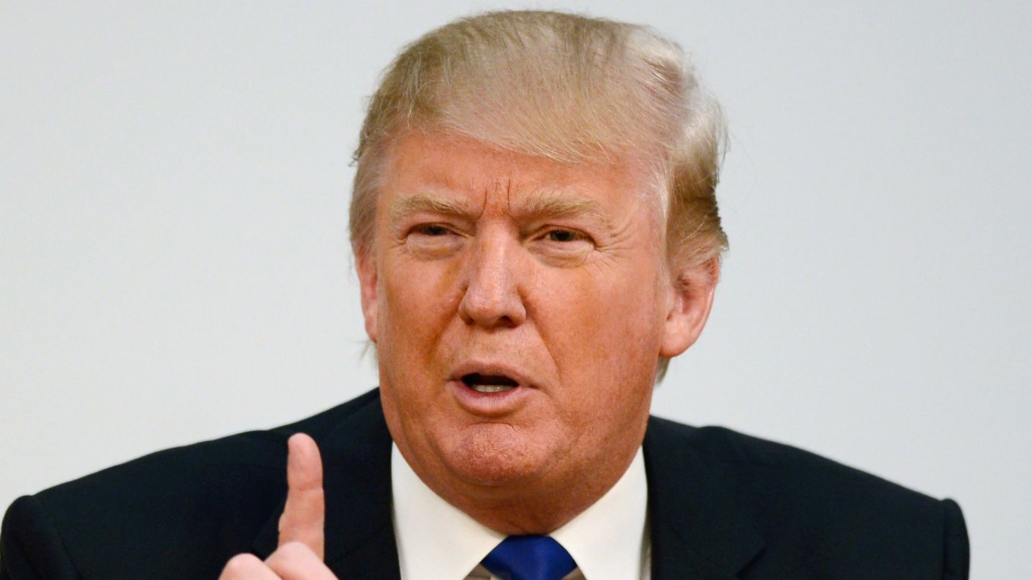 Donald Trump appeared in the Scottish parliament in April to oppose the offshore wind farm.